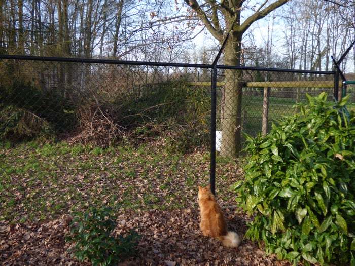 Sportinfrastructuur geplaatst door Lamon Hekwerk — voorbeeld 1 van 5